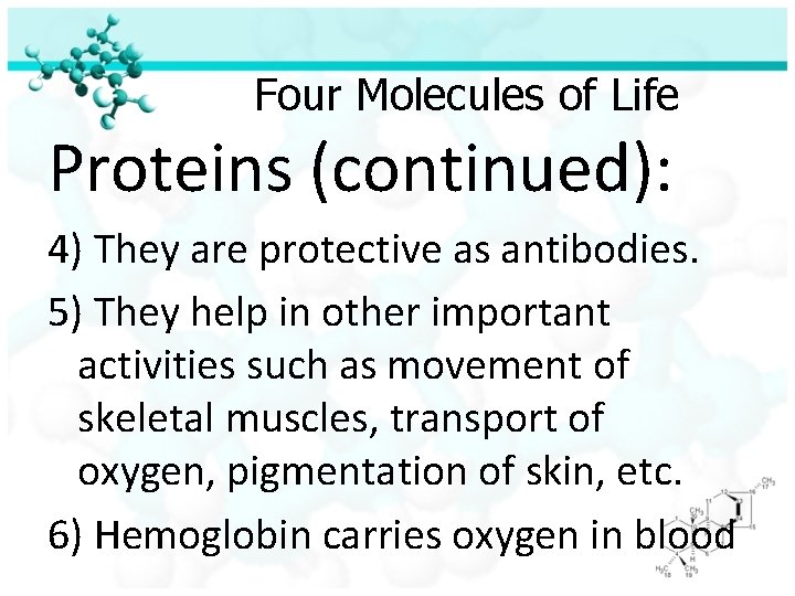 Four Molecules of Life Proteins (continued): 4) They are protective as antibodies. 5) They