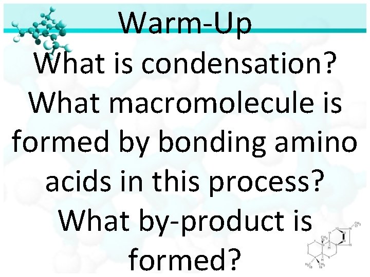 Warm-Up What is condensation? What macromolecule is formed by bonding amino acids in this