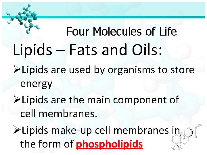 Four Molecules of Life Lipids – Fats and Oils: ØLipids are used by organisms