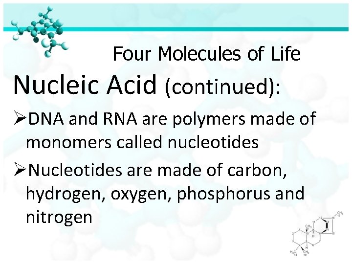 Four Molecules of Life Nucleic Acid (continued): ØDNA and RNA are polymers made of