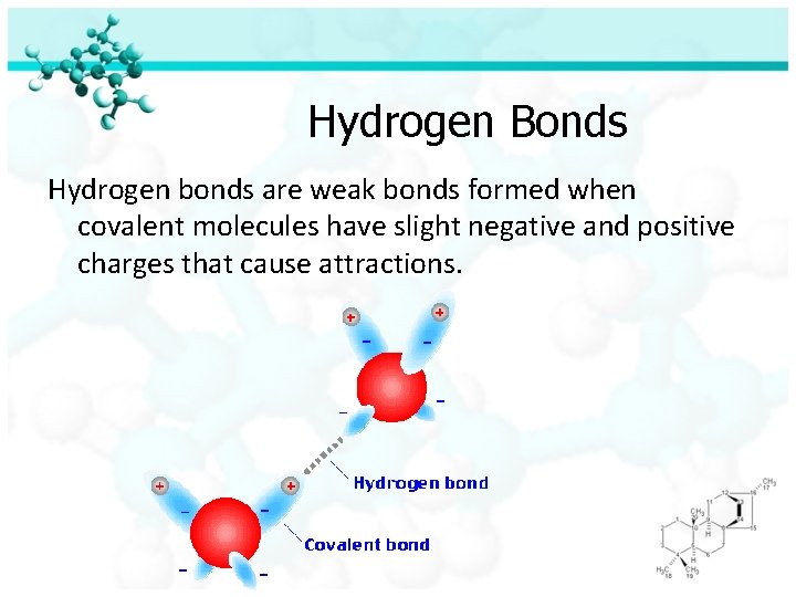 Hydrogen Bonds Hydrogen bonds are weak bonds formed when covalent molecules have slight negative