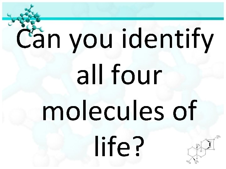 Can you identify all four molecules of life? 