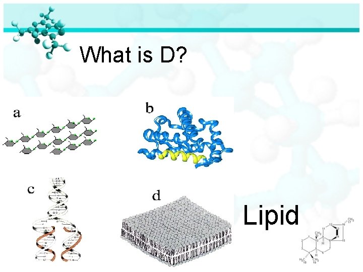 What is D? Lipid 