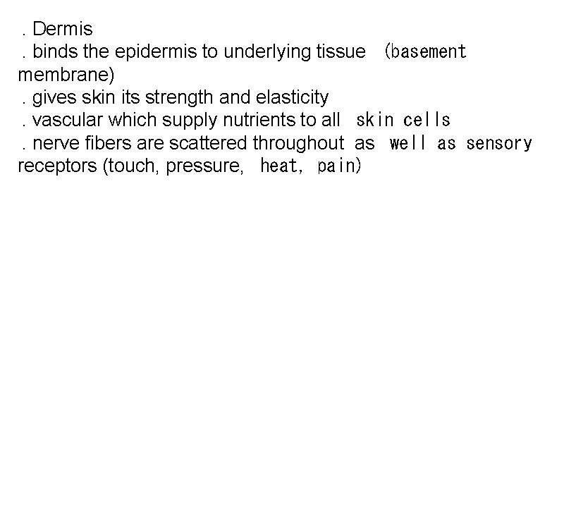 . Dermis . binds the epidermis to underlying tissue
(basement membrane) . gives skin . Dermis . binds the epidermis to underlying tissue
(basement membrane) . gives skin