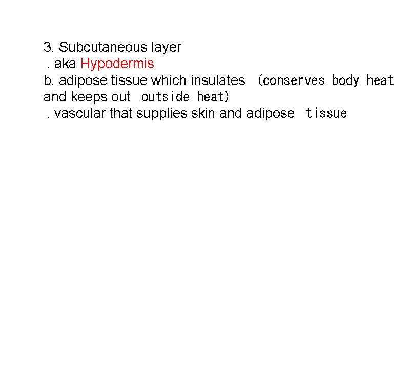 3. Subcutaneous layer  . aka Hypodermis b. adipose tissue which insulates  (conserves body heat