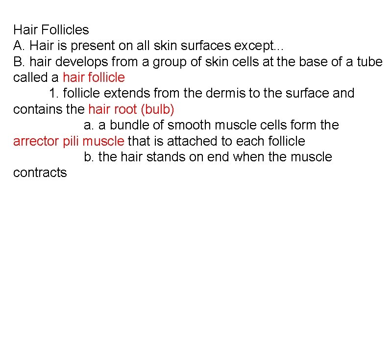 Hair Follicles A. Hair is present on all skin surfaces except. . . B. Hair Follicles A. Hair is present on all skin surfaces except. . . B.
