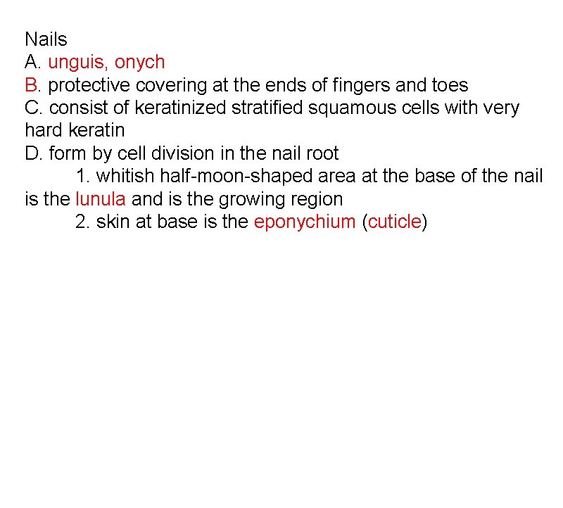 Nails A. unguis, onych B. protective covering at the ends of fingers and toes Nails A. unguis, onych B. protective covering at the ends of fingers and toes