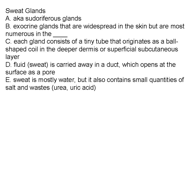 Sweat Glands A. aka sudoriferous glands B. exocrine glands that are widespread in the