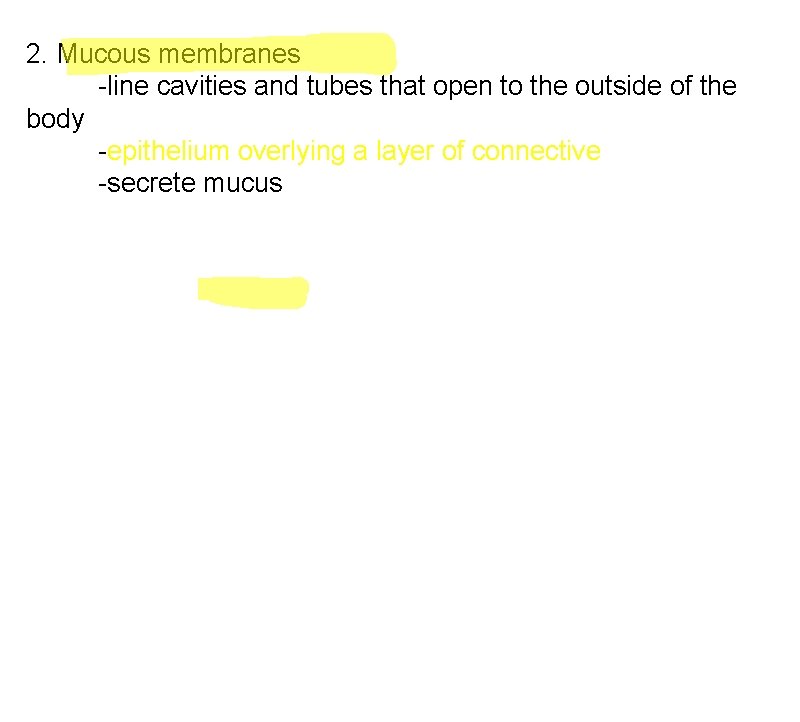 2. Mucous membranes -line cavities and tubes that open to the outside of the