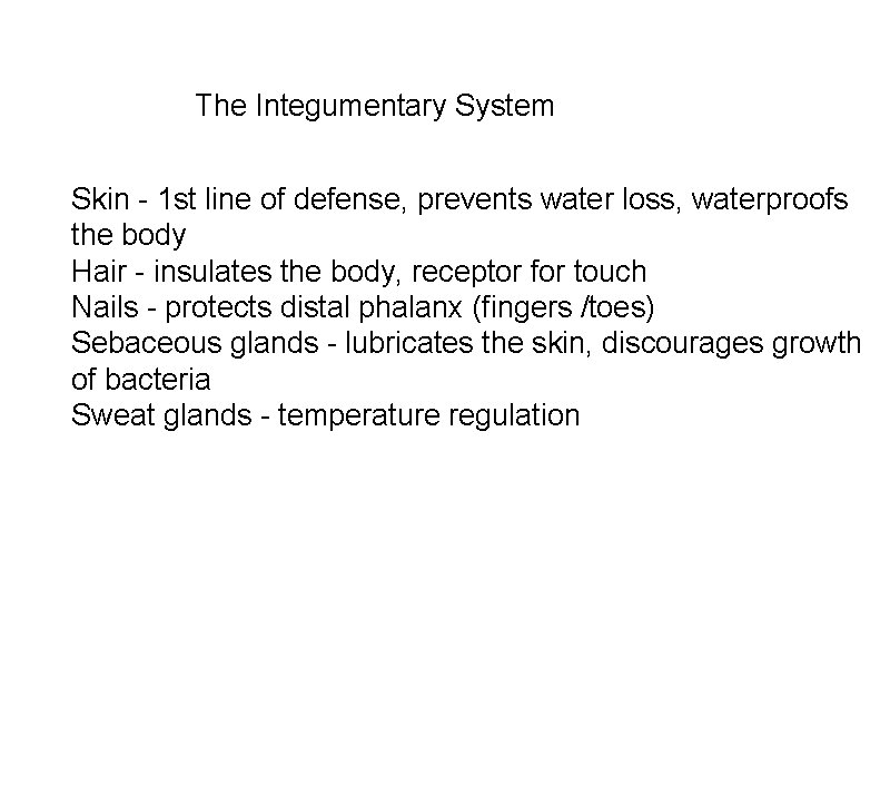 The Integumentary System Skin - 1 st line of defense, prevents water loss, waterproofs