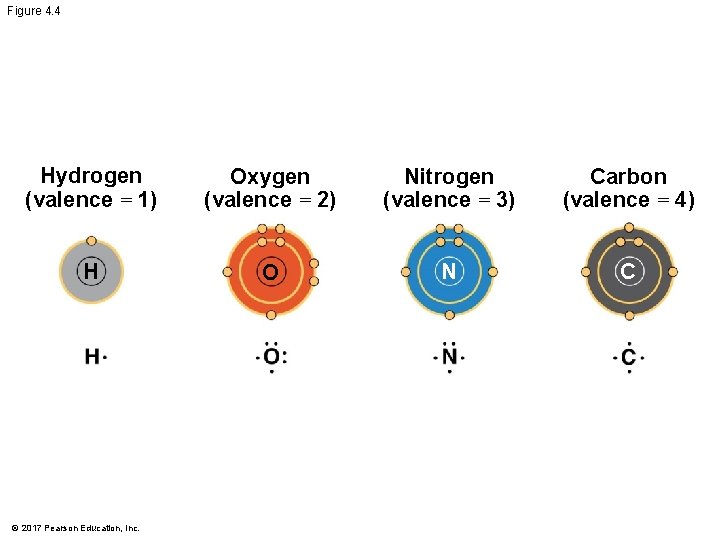 Figure 4. 4 Hydrogen (valence = 1) Oxygen (valence = 2) Nitrogen (valence =