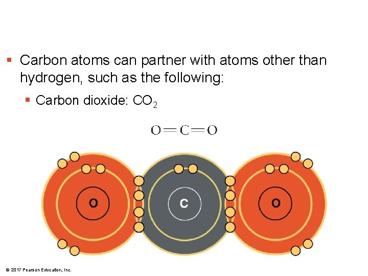 § Carbon atoms can partner with atoms other than hydrogen, such as the following: