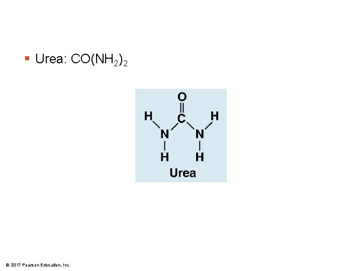 § Urea: CO(NH 2)2 © 2017 Pearson Education, Inc. 