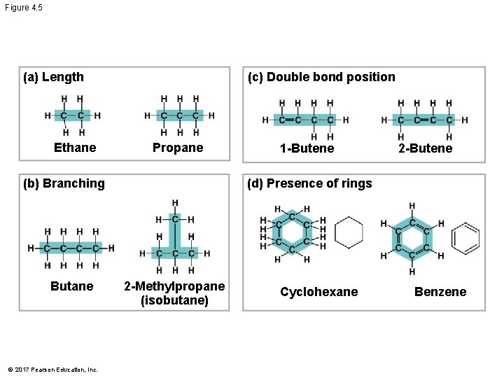 Figure 4. 5 (c) Double bond position (a) Length Ethane Propane (b) Branching Butane