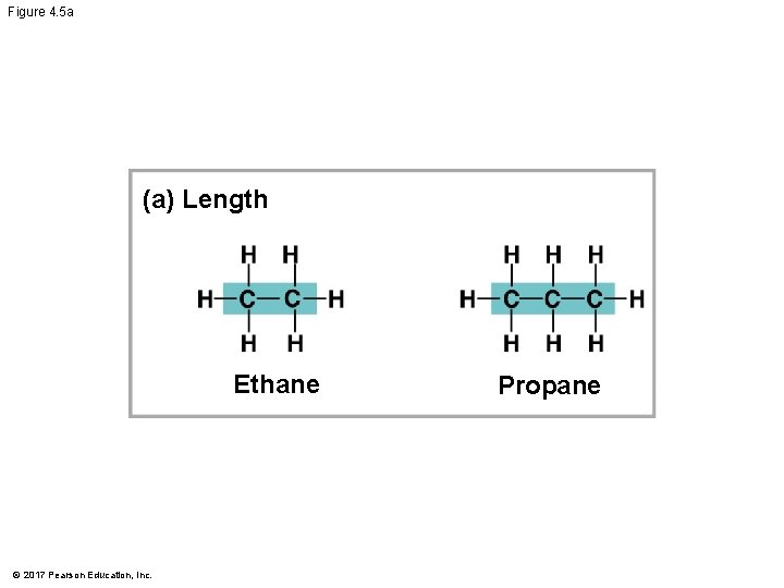 Figure 4. 5 a (a) Length Ethane © 2017 Pearson Education, Inc. Propane 