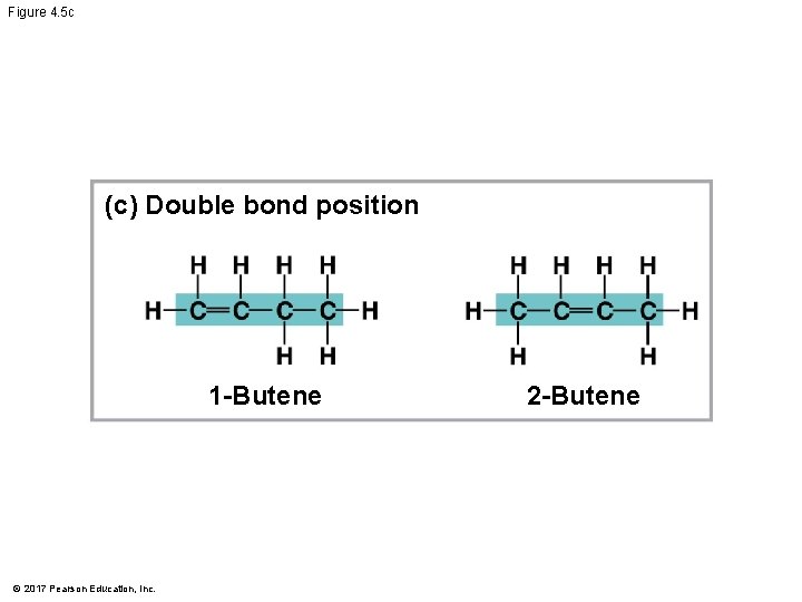 Figure 4. 5 c (c) Double bond position 1 -Butene © 2017 Pearson Education,