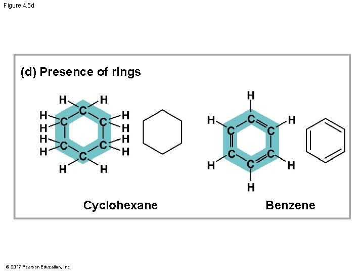 Figure 4. 5 d (d) Presence of rings Cyclohexane © 2017 Pearson Education, Inc.