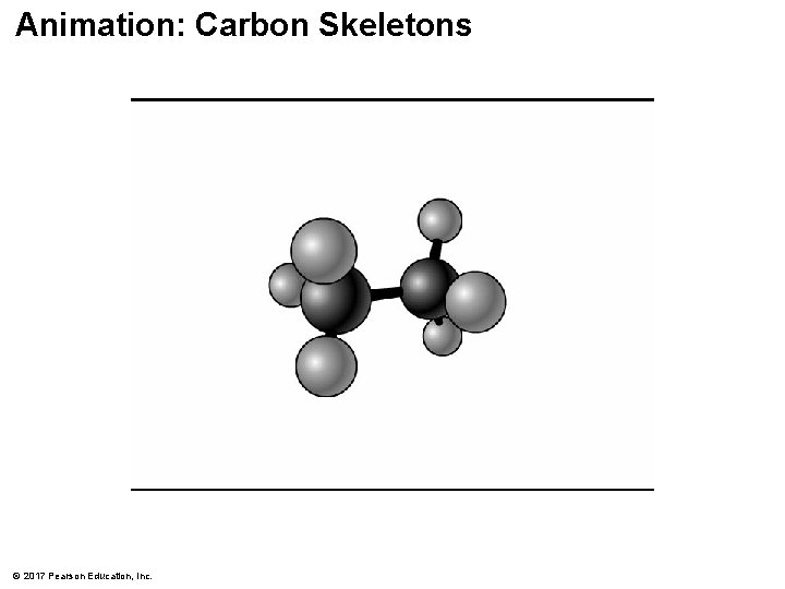 Animation: Carbon Skeletons © 2017 Pearson Education, Inc. 