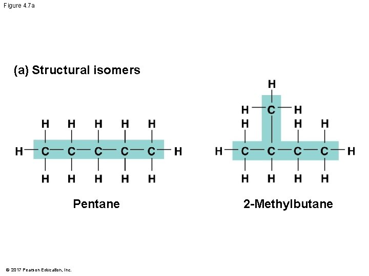 Figure 4. 7 a (a) Structural isomers Pentane © 2017 Pearson Education, Inc. 2