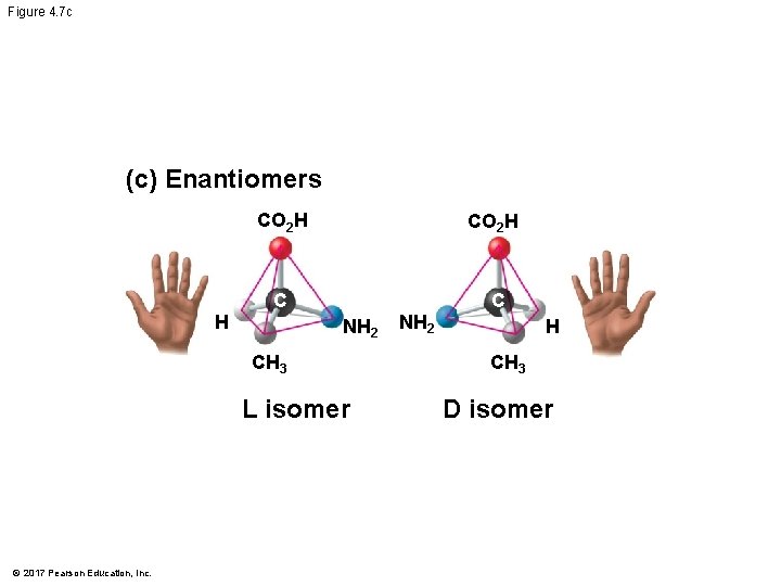 Figure 4. 7 c (c) Enantiomers H CO 2 H C C NH 2