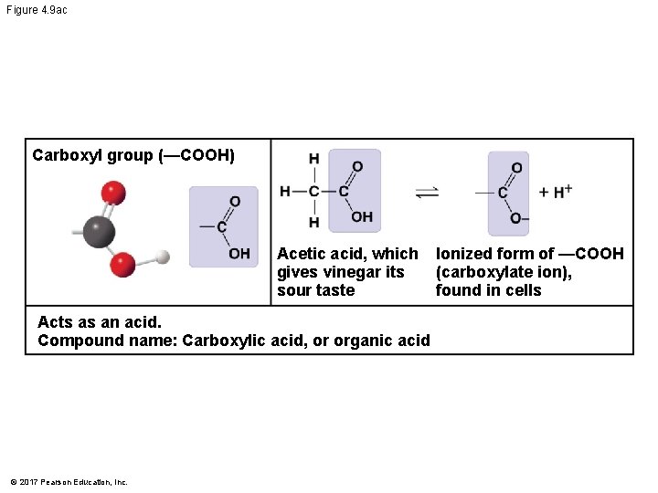 Figure 4. 9 ac Carboxyl group (—COOH) Acetic acid, which gives vinegar its sour