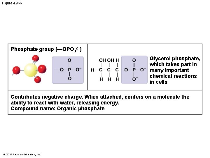 Figure 4. 9 bb Phosphate group (—OPO 32−) Glycerol phosphate, which takes part in