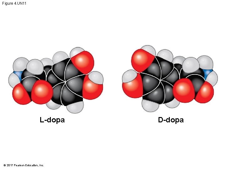 Figure 4. UN 11 L-dopa © 2017 Pearson Education, Inc. D-dopa 