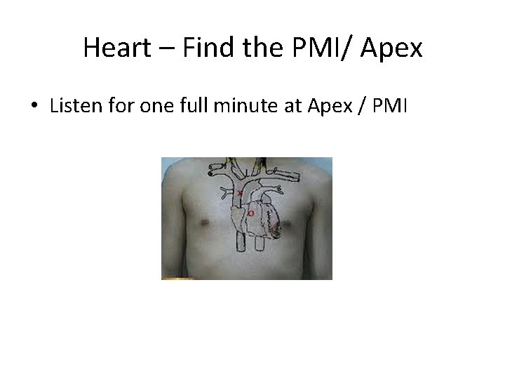 Heart – Find the PMI/ Apex • Listen for one full minute at Apex