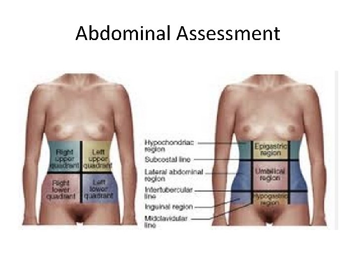 Abdominal Assessment 