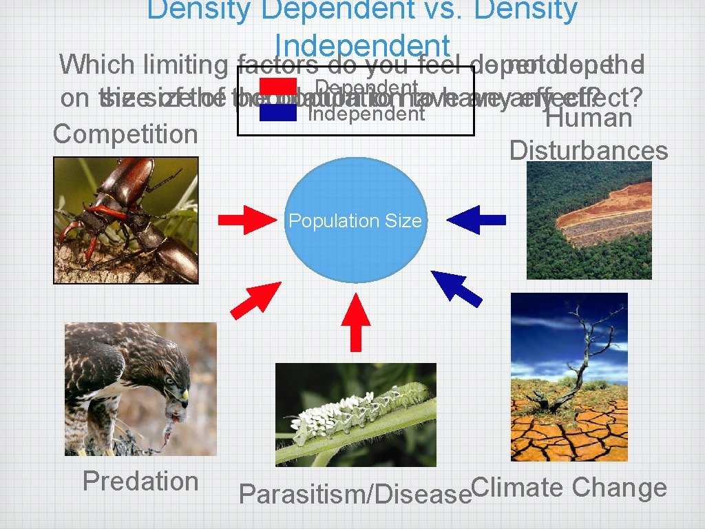 Density Dependent vs. Density Independent Which limiting factors do you feel do depend not