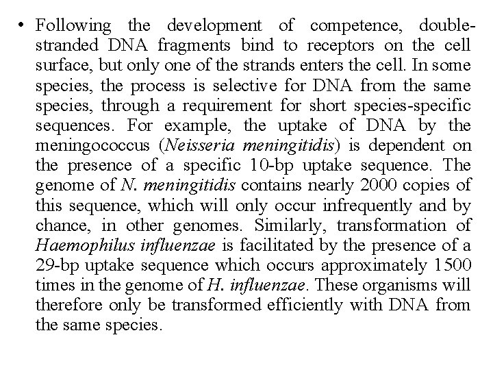 • Following the development of competence, doublestranded DNA fragments bind to receptors on  • Following the development of competence, doublestranded DNA fragments bind to receptors on