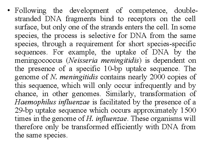  • Following the development of competence, doublestranded DNA fragments bind to receptors on