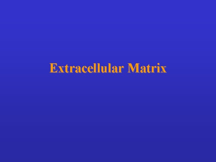 Extracellular Matrix 