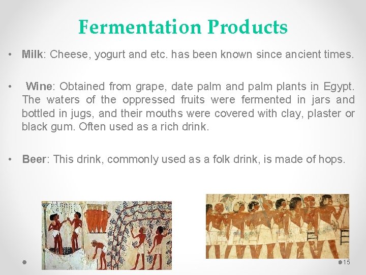 Fermentation Products • Milk: Cheese, yogurt and etc. has been known since ancient times.