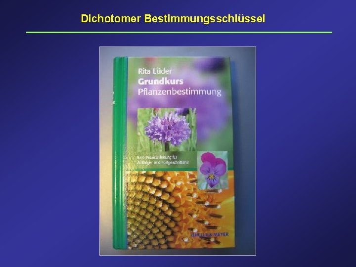 Dichotomer Bestimmungsschlüssel 