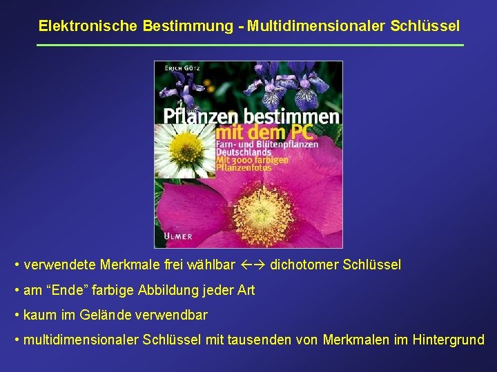Elektronische Bestimmung - Multidimensionaler Schlüssel • verwendete Merkmale frei wählbar dichotomer Schlüssel • am