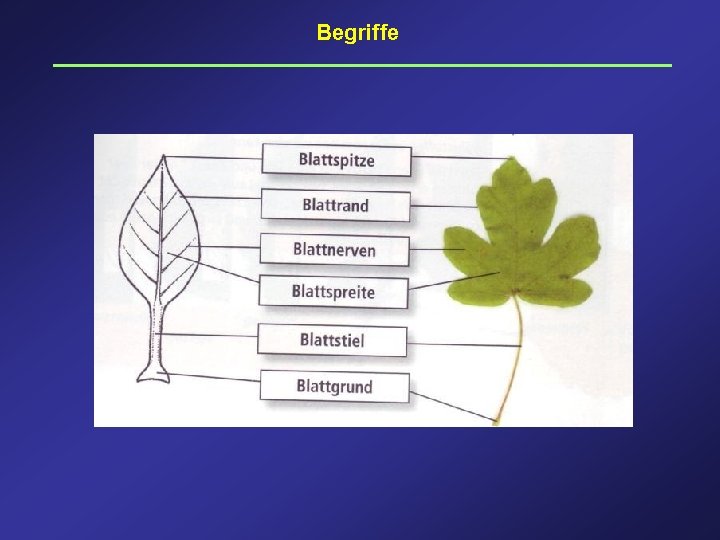 Begriffe 