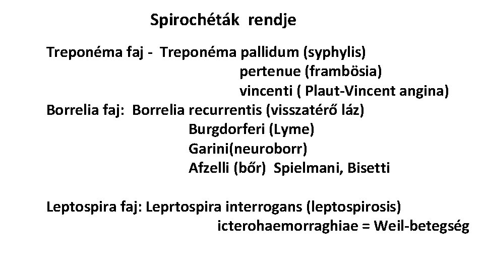 Spirochéták rendje Treponéma faj - Treponéma pallidum (syphylis) pertenue (frambösia) vincenti ( Plaut-Vincent angina)
