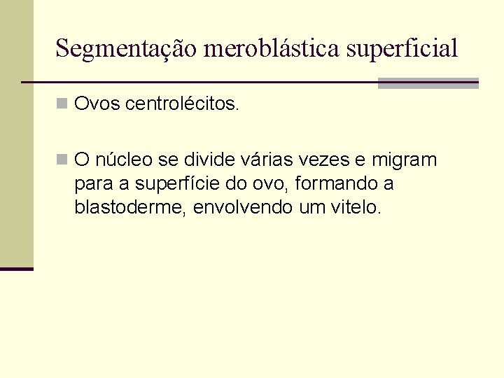 Segmentação meroblástica superficial n Ovos centrolécitos. n O núcleo se divide várias vezes e