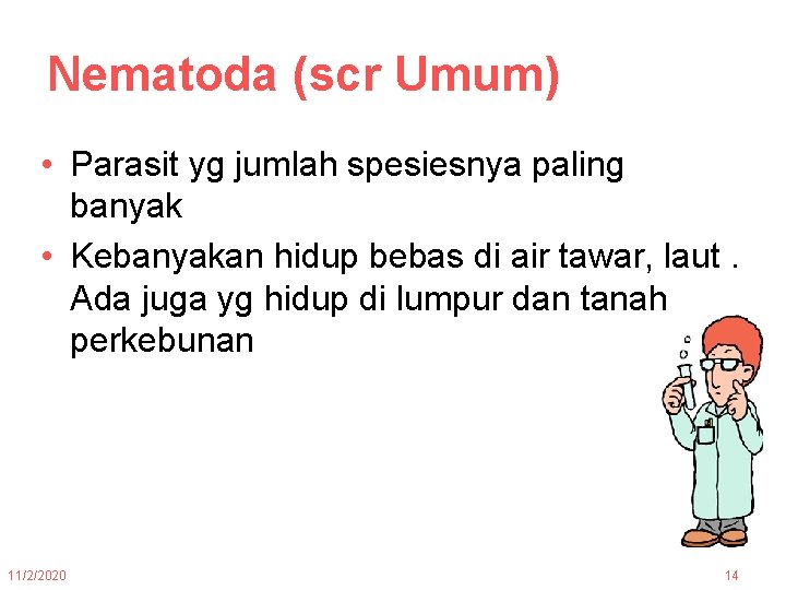 Nematoda (scr Umum) • Parasit yg jumlah spesiesnya paling banyak • Kebanyakan hidup bebas