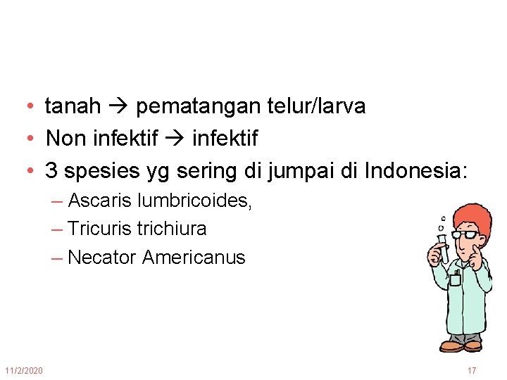  • tanah pematangan telur/larva • Non infektif • 3 spesies yg sering di