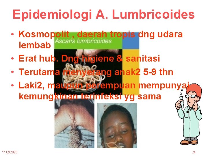 Epidemiologi A. Lumbricoides • Kosmopolit , daerah tropis dng udara lembab • Erat hub.