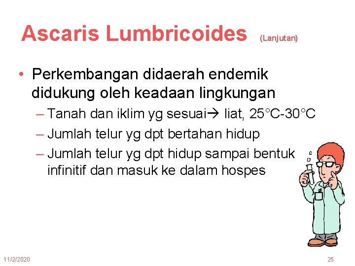 Ascaris Lumbricoides (Lanjutan) • Perkembangan didaerah endemik didukung oleh keadaan lingkungan – Tanah dan