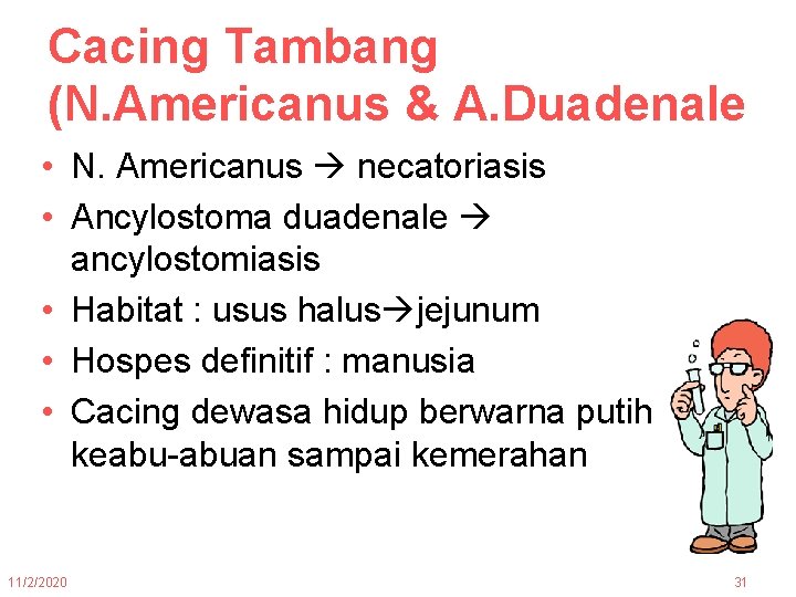 Cacing Tambang (N. Americanus & A. Duadenale • N. Americanus necatoriasis • Ancylostoma duadenale