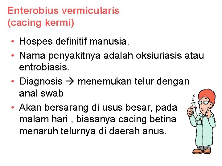 Enterobius vermicularis (cacing kermi) • Hospes definitif manusia. • Nama penyakitnya adalah oksiuriasis atau