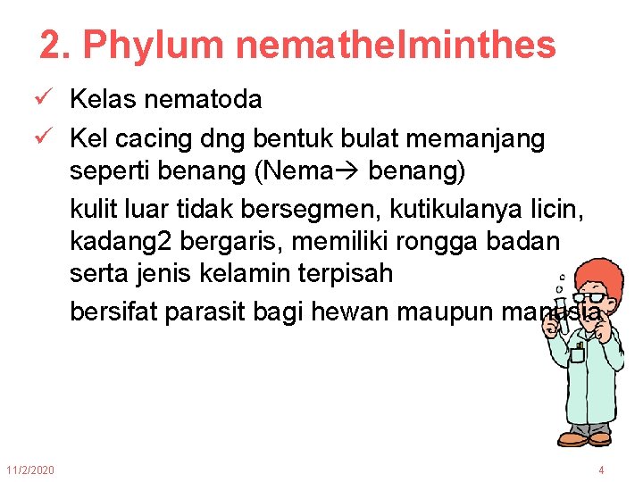 2. Phylum nemathelminthes ü Kelas nematoda ü Kel cacing dng bentuk bulat memanjang seperti