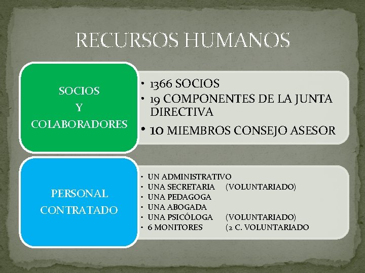 RECURSOS HUMANOS SOCIOS Y COLABORADORES PERSONAL CONTRATADO • 1366 SOCIOS • 19 COMPONENTES DE