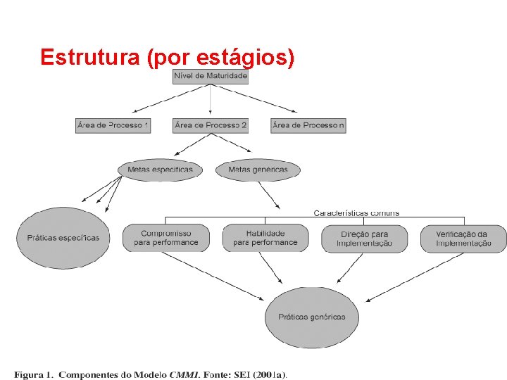 Estrutura (por estágios) 