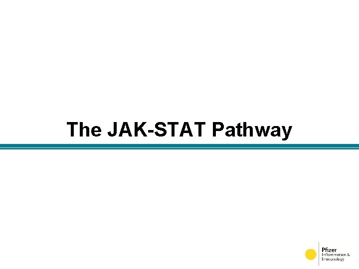 The JAK-STAT Pathway 