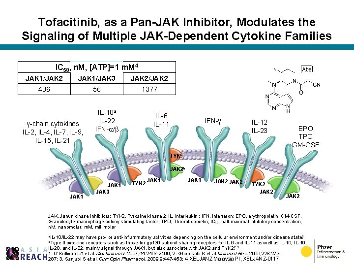 Tofacitinib, as a Pan-JAK Inhibitor, Modulates the Signaling of Multiple JAK-Dependent Cytokine Families IC